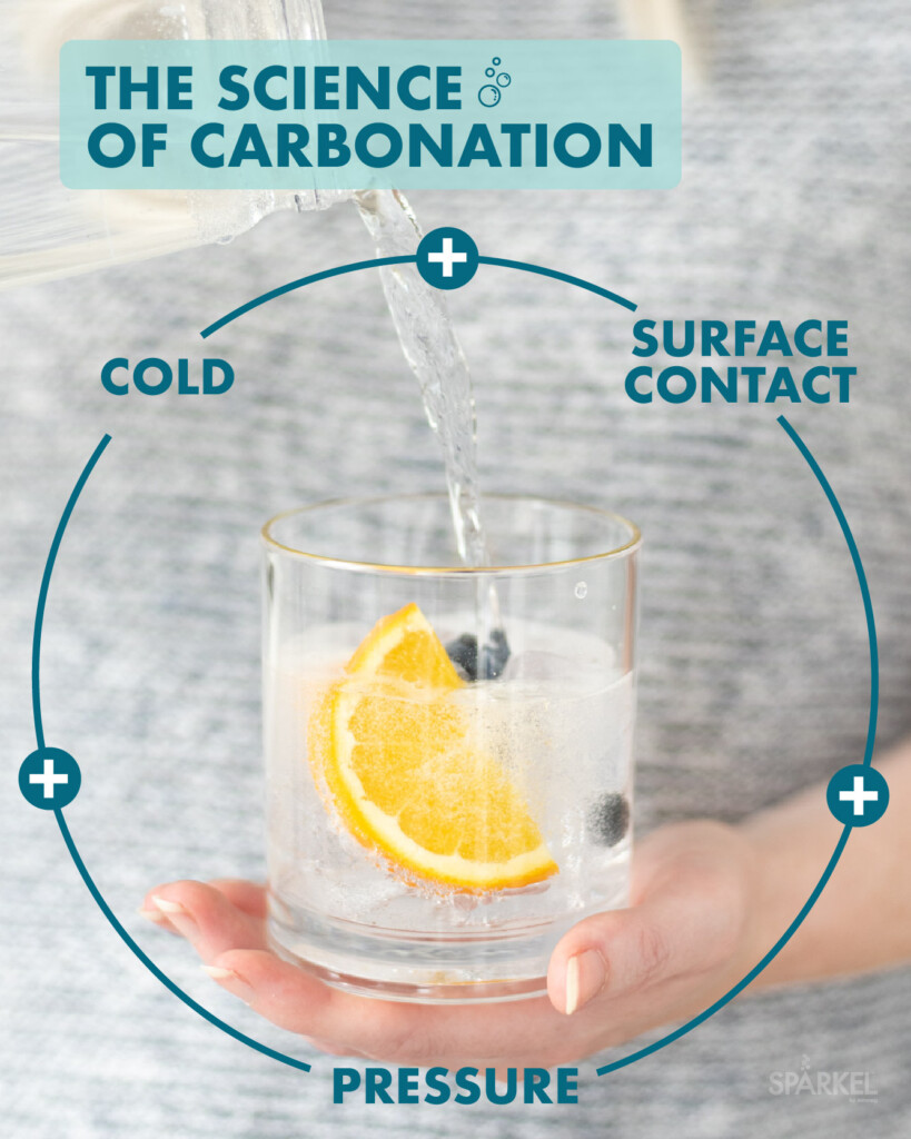 III. The Role of CO2 in Carbonation